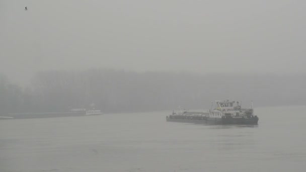 Navire de charge flottant sur le Danube à Novi Sad — Video
