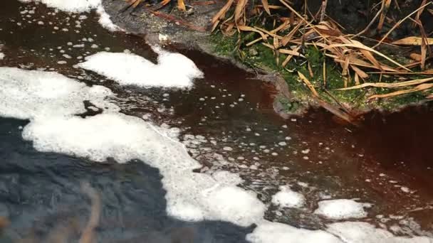 Poluição e contaminação da água do rio do esgoto da fábrica da indústria química — Vídeo de Stock