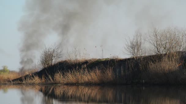 在一个阳光明媚的春日燃烧干芦苇在河边 — 图库视频影像