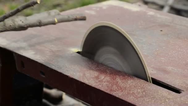 Mann schneidet Holz mit rudimentärer elektrischer Tischkreissäge, Handheld stetiger Schuss mit selektivem Fokus — Stockvideo