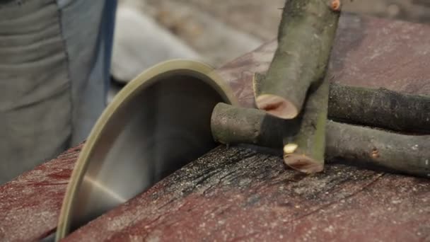 Mann schneidet Holz mit rudimentärer elektrischer Tischkreissäge, handgehaltener stetiger Schuss mit selektivem Fokus, Sound inklusive — Stockvideo