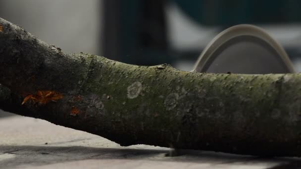 Man Cutting Wood with Rudimentary Electric Power Table Circular Saw, Handheld Steady Shot with Selective focus, Sound Included — Stock Video