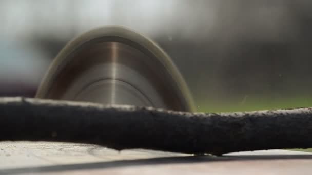 Человек резки древесины с элементарной электрической таблице циркулярная пила, ручной устойчивый снимок с выборочным фокусом, звук включен — стоковое видео
