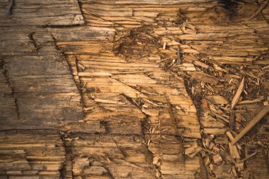 Doğranmış ahşap tahta doku