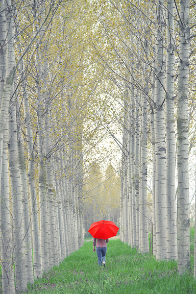 Woman with Red Umbrella Walking Away