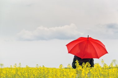 Kırmızı şemsiye yağlı tohum Rapseed tarımsal içinde ayakta olan kişi