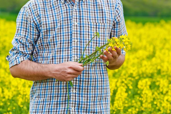 Agricultor de pie en el campo agrícola cultivado de semillas oleaginosas — Foto de Stock