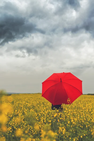 Person med rött paraply står i oljeväxter Rapseed Agricultura — Stockfoto