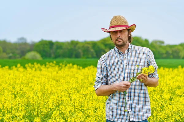 Agricultor em pé no campo agrícola cultivado de sementes de colza — Fotografia de Stock