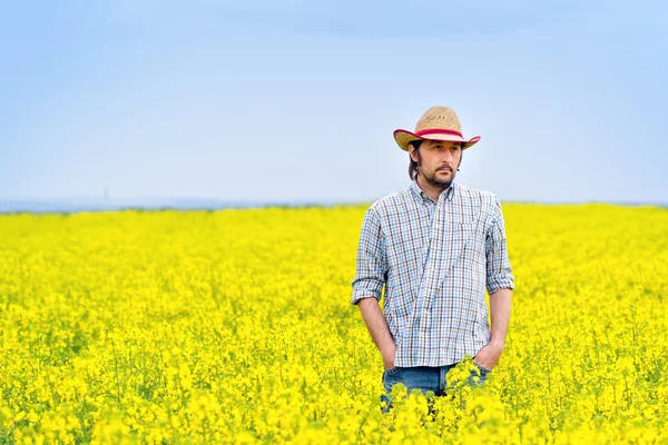 油糧種子菜種に立って農家栽培農業のフィール — ストック写真