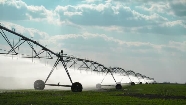 Automated Farming Irrigation Sprinklers System in Operation on Cultivated Agricultural Field — Stock Video