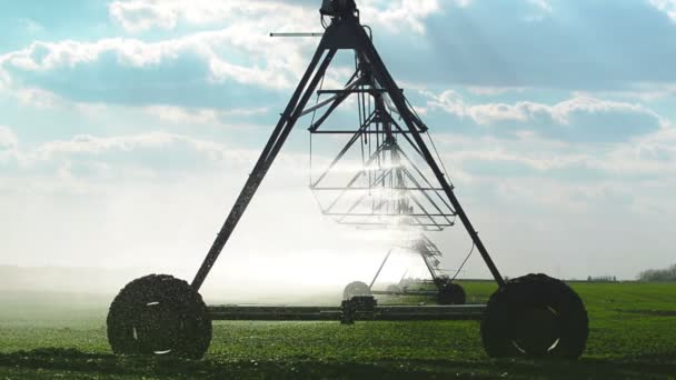 Système automatisé d'arrosage d'irrigation agricole en fonctionnement sur un champ agricole cultivé — Video