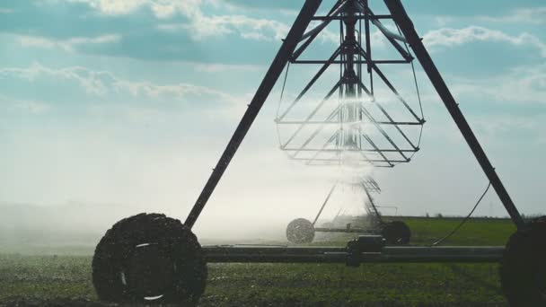 Automatiserad uppfödningssystem bevattning vattenspridare i drift på odlade jordbruksområdet — Stockvideo