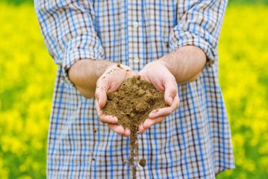 Farmer Checking Soil Quality of Fertile Agricultural Farm Land clipart