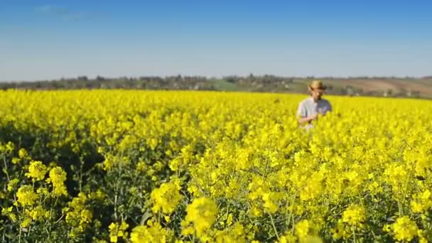 Mannelijke boer in oliehoudende zaden koolzaad geteeld landbouwgebied behandeling van en de controle op de groei van planten, gewas bescherming Agrotech Concept — Stockvideo