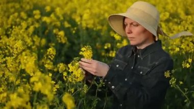 Yağlı tohum kolza tohumu kadın çiftçi incelenmesi ve bitkileri, bitki koruma Agrotech kavram gelişimini kontrol tarım alanı ekili
