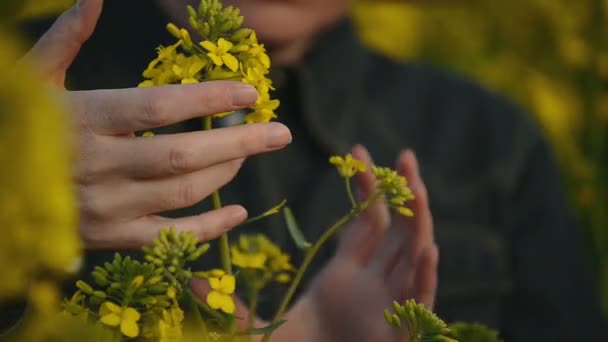 Vrouwelijke boer in oliehoudende zaden koolzaad geteeld landbouwgebied behandeling van en de controle op de groei van planten, gewas bescherming Agrotech Concept — Stockvideo