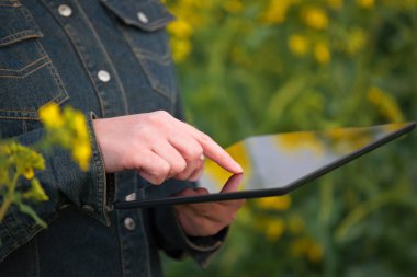 Female Farmer with Digital Tablet in Oilseed Rapeseed Cultivated clipart