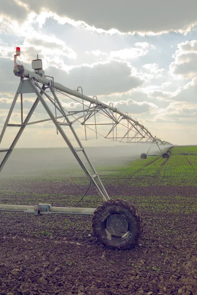 Automated Farming Irrigation Sprinklers System in Operation — Stock Photo, Image