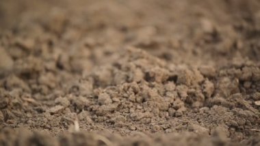 Tarım alanı, ekilebilir toprak bahar ekimi sezona hazır