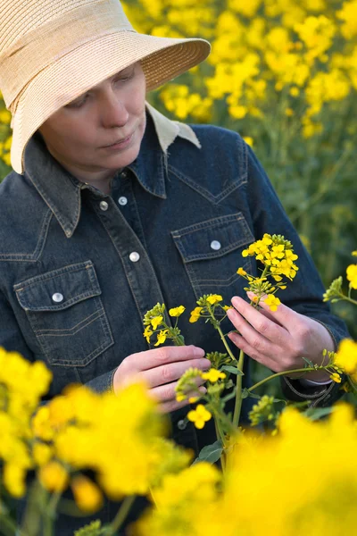 Agriculteur femelle dans un champ agricole cultivé de colza oléagineux — Photo