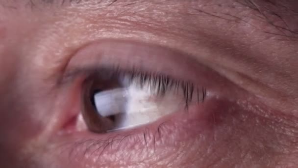 Коричневый мужской глаз, двигающийся при чтении текста на экране компьютера, макросъемка Full HD — стоковое видео