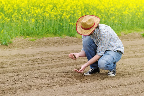 Farmer Checking Suolo Qualità dei terreni agricoli fertili — Foto Stock