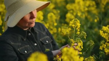 Yağlı tohum kolza tohumu kadın çiftçi incelenmesi ve bitkileri, bitki koruma Agrotech kavram gelişimini kontrol tarım alanı ekili