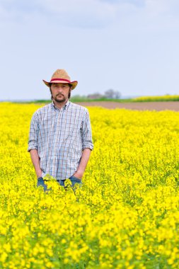 Çiftçi yağlı tohum kolza daimi tarım Fiel ekili