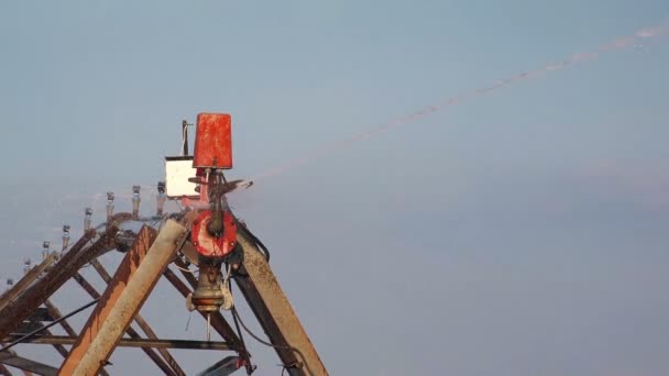 Sistema automatizado de aspersores de riego agrícola en funcionamiento en el campo agrícola cultivado — Vídeo de stock