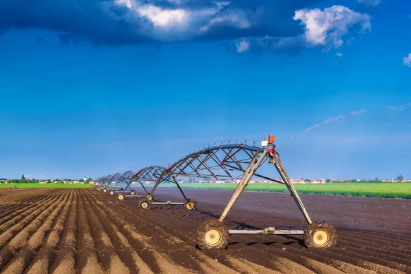 Sistema automatizado de aspersores de riego para agricultura en funcionamiento — Foto de Stock