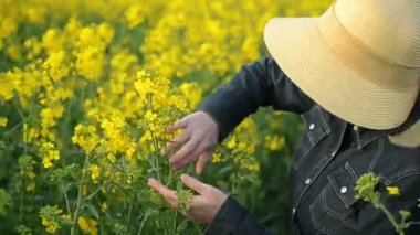 Yağlı tohum kolza tohumu kadın çiftçi tarım alanı ekili