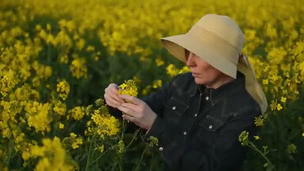 Female Farmer in Oilseed Rapeseed Cultivated Agricultural Field — Stock Video