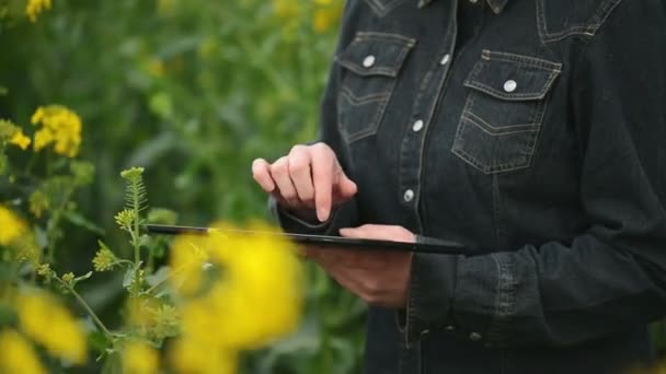 Granjero femenino usando Tablet Computer digital en campo agrícola cultivado de colza oleaginosa examinando y controlando el crecimiento de las plantas — Vídeos de Stock