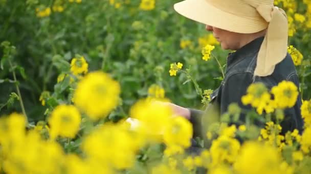 Vrouwelijke landbouwproducent met gebruikmaking van digitale Tablet PC in oliehoudende zaden koolzaad geteeld landbouw veld onderzoeken en beheersing van de groei van planten — Stockvideo