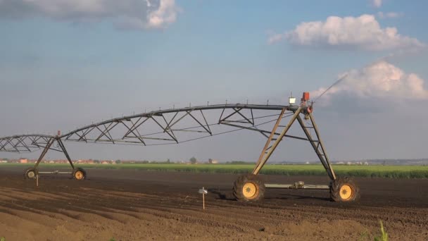 Sistema automatizado de aspersores de riego agrícola en funcionamiento en el campo agrícola cultivado — Vídeo de stock