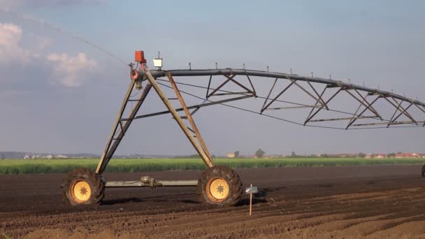 Agricultural Irrigation Sprinklers Irrigating Cultivated Farming Field — Stock Video