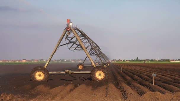 Aspersores de Irrigação Agrícola Irrigando Campo de Agricultura Cultivada — Vídeo de Stock