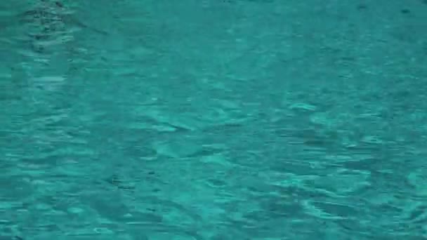 Swimming Pool Water Surface with Ripples — Stock Video