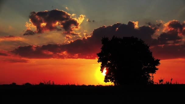Voiture avec remorque Silhouette en soirée Coucher de soleil à travers la campagne — Video