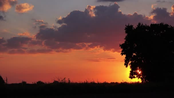 Silhouette auto in tramonto serale attraverso la campagna — Video Stock