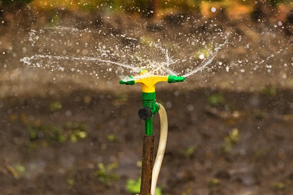 Aspersor de riego de jardinería de plástico para el hogar —  Fotos de Stock