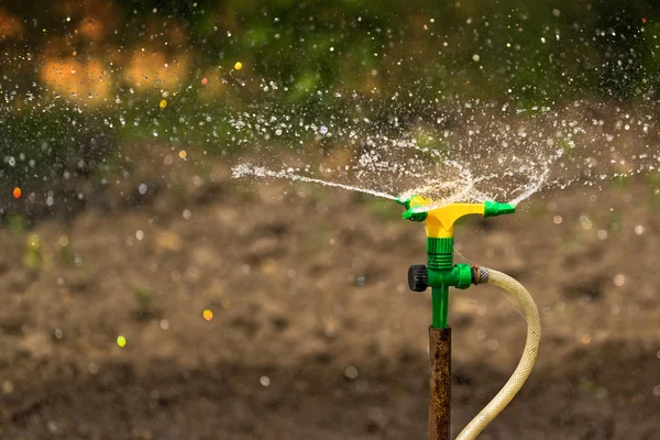 Plastic Home Gardening Irigation Sprinkler — Stok Foto