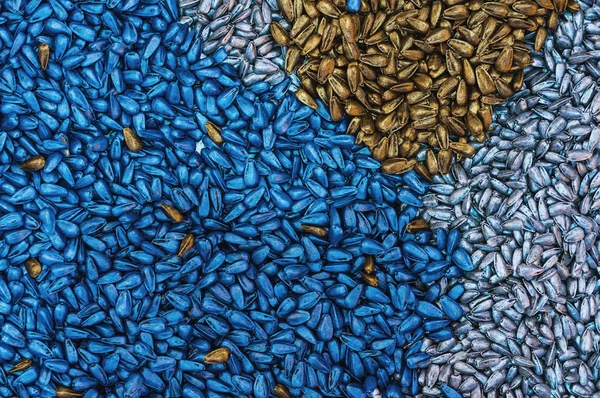 Chemically Treated Sunflower Seed as Background — Stock Photo, Image