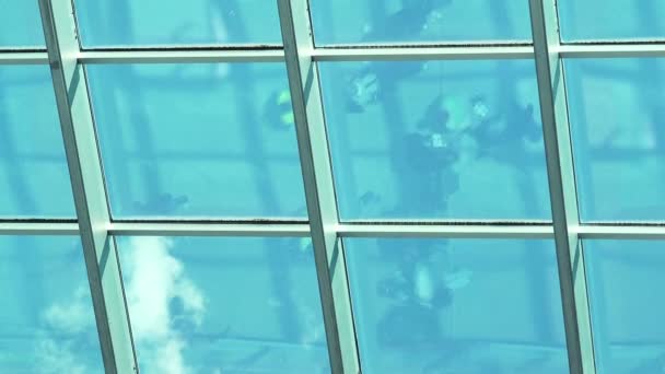 Pessoas andando no shopping center, reflexão sobre vidro — Vídeo de Stock