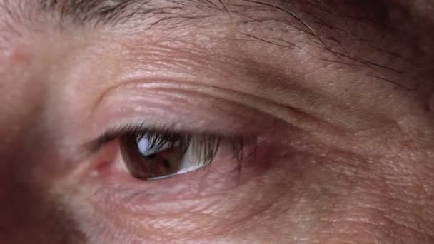 Olhos masculinos adultos Observando, Movimento ocular — Vídeo de Stock