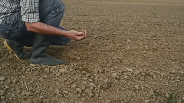 Granjero Comprobación de la calidad del suelo de la tierra agrícola fértil — Vídeos de Stock