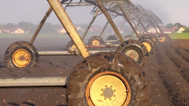 Irrigazione Irrigatori ad acqua Irrigazione del campo coltivato agricolo — Video Stock