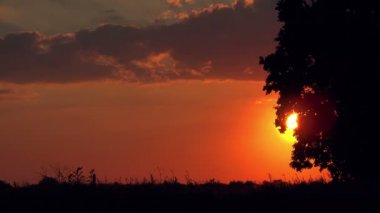 Günbatımı kırsal sürüş siluetleri otomobil