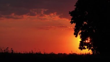 Günbatımı kırsal sürüş siluetleri otomobil